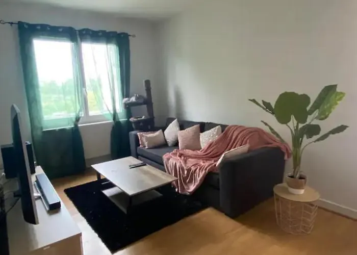 Appartement T2 Entier Et Spacieux Pres Du Centre Historique De Bayonne